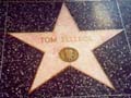 "Walk of Fame" - Stern von Tom Selleck