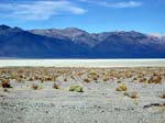 Hier gehts zu den Fotos des Death Valley NP's