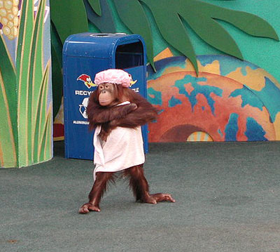 Affe aus der Animal Planet Show