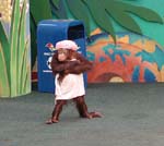 Affe aus der Animal Planet Show