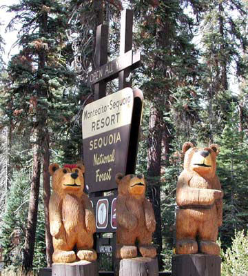 Drei Bären