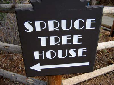 Spruce Tree House